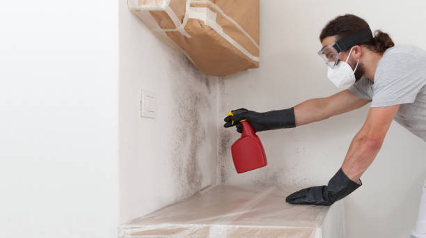 Professional Crawl Space Mold Remediation technician working in Riverview, MI