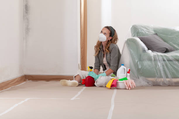 Reliable Crawl Space Mold Remediation contractor in Riverview, MI by 24 Hour Mold Removal